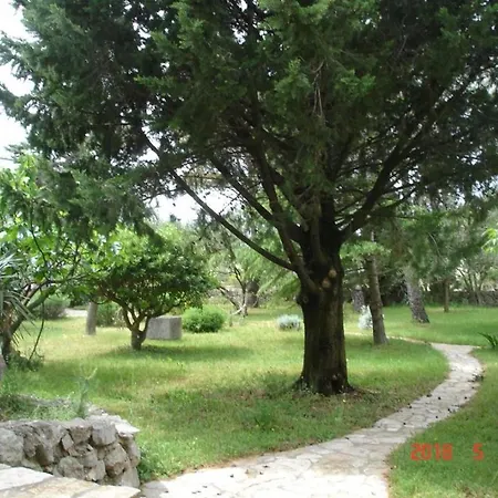 Apartment Beachfront 4526-2 Punat